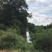 LA - West Carroll Barnidge 80 acres - images 6