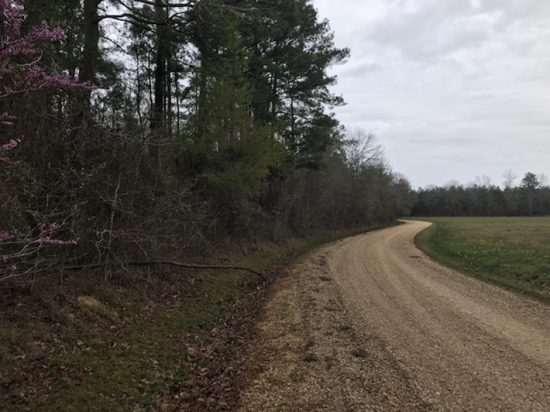 LA - Franklin Hawthorne 10 ac - featured image