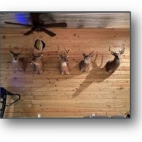 One Equity Share of Regan Island Hunting Club in Claiborne County in Utica MS images 5