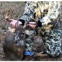 Buck 2 by dad
