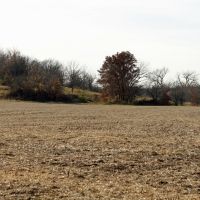 Turkey Hunting Lease, $650 for 2015 spring season or one day hunt $150 per person