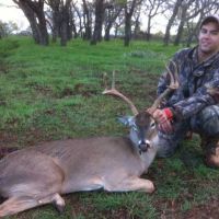 Texas Whitetail, Hog, Turkey, Duck, Dove, and Varmint Hunts - Outfitter