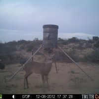 3600 acres high fence