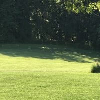 Beautiful, Forested 11 Acre Land in Fulton MD For Archery