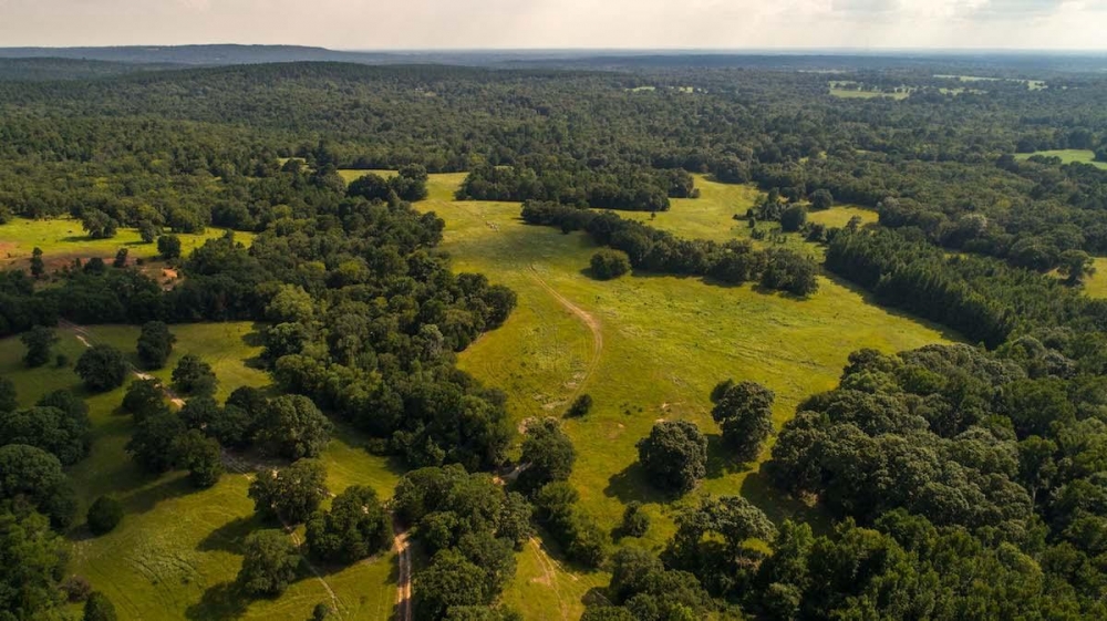 Hidden Springs Ranch featured image