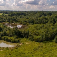 Hidden Springs Ranch images 6