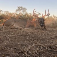 Hat ranch buck - 201910