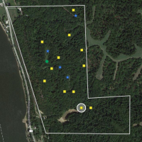 Deer property arial photo wo trails (2)