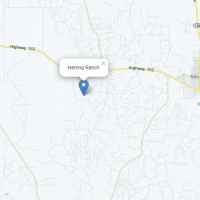 Hunting Leases Available on the Herring Ranch in Hutchinson County, near Stinnett, TX