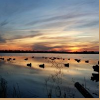 Waterfowl Hunting Property Available on 750 Acres in Lawrence County, AR