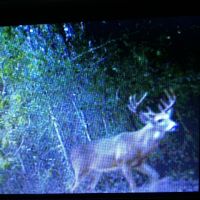 Day Hunts 20 minutes From Houston for $60.00