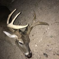 120 acres Duval county