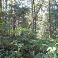 Awesome Land for Lease