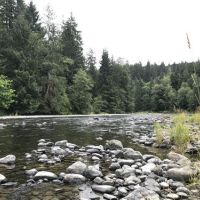 Sol-duc-lot-6-beaver-clallam-county-washington-246106-gbnuym