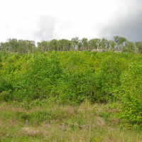 Hunting Lease Available in Chester County