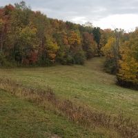 20201010 154027 (1)