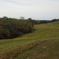 20201010 154035 (1)