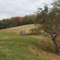 20201010 154116 (1)