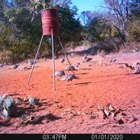Deer Creek Ranch