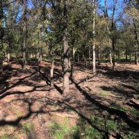 Covington-ranch-lease-05