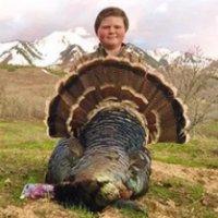 Spring Turkey Hunting Available in Menard, TX