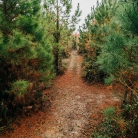 Register Way Farm images 3