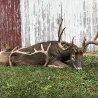 Prime Illinois Deer and Turkey Hunts