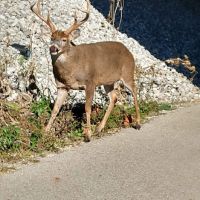 30 acres on the Corridor between Hogback Ridge Park and Alum Creek State Park in Delaware County, OH