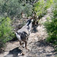 Villa Nueve Hunting Club