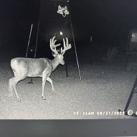 Img 0876