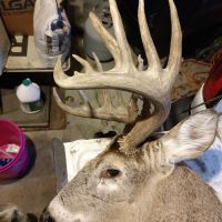 700 Acres Whitetail Deer Hunting Property Available in Grove Kansas