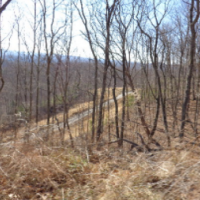 Ringgold County Whitetail Deer & Turkey Hunting Lease Available