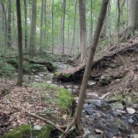 Bass & Buck is a family-oriented private bow hunting and fishing club.