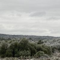 Rocksprings 200+ Acres