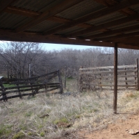 Hall Co. Honey Hole images 3
