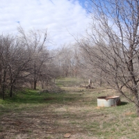 Hall Co. Honey Hole images 5