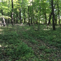 Lamchick Property images 4