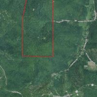 Deer Hunting Lease 706 Acres in Cattaraugus County, NY