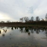 Duck Lease near Plain Dealing Louisiana on Red River and near Doddridge Arkansas