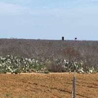 Img 3014