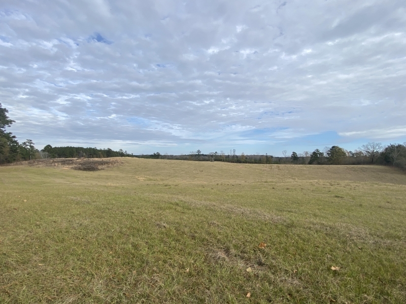 25.48 Acres featured image