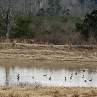 25.48 Acres images 3