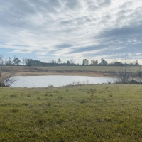 25.48 Acres images 6