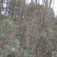 E4d1059a-9469-40f3-b408-aee2c15a237d