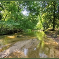 104 Acres with a Cabin in Jefferson Davis County at 319 Polk-Atwood Road in Mount Olive MS images 5
