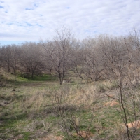 Hall Co. Honey Hole images 4