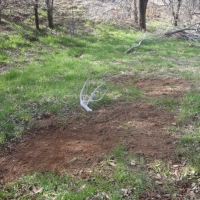 Hall Co. Honey Hole images 6