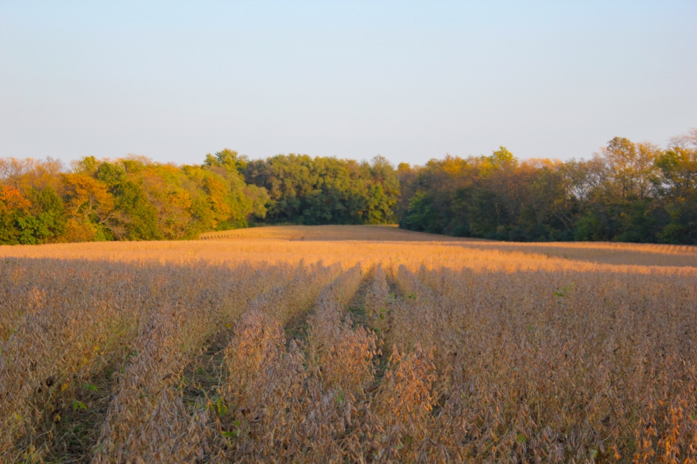 Development - Hunting- - Farm Land for Sale in Lee s Summit featured image