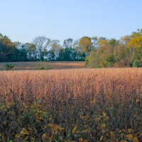 Development - Hunting- - Farm Land for Sale in Lee s Summit images 6