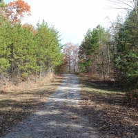 Turkey Pen images 6